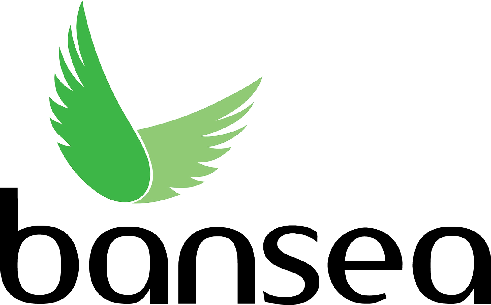 Business_Angel_Network_of_Southeast_Asia_Color.png